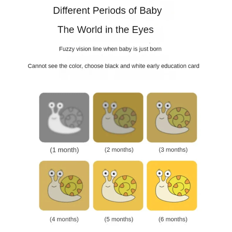 Montessori Cartes de Stimulation Visuelle Noir & Blanc - Bébé Nouveau-né